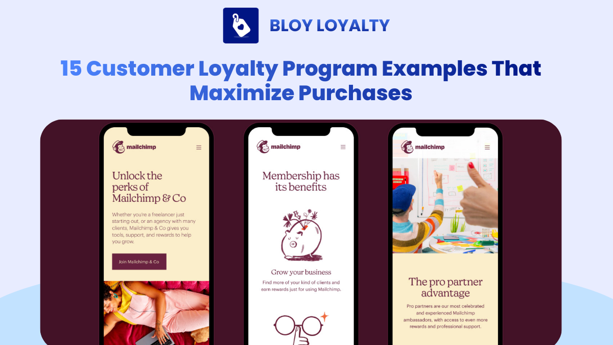 15 Customer Loyalty Program Examples That Maximize Purchases - BLOY Loyalty